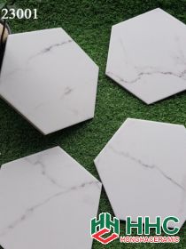Gạch lục giác đẹp 23001
